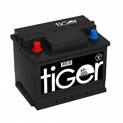 Автомобильный аккумулятор Tiger Аком 60.1 пр. фото 401x401